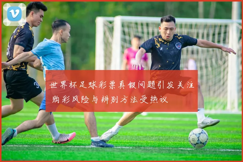 世界杯足球彩票真假问题引发关注 购彩风险与辨别方法受热议