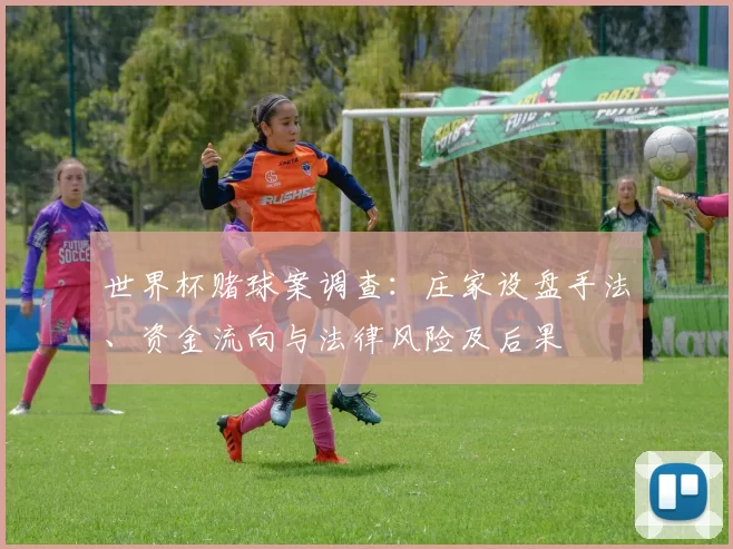 世界杯赌球案调查:庄家设盘手法、资金流向与法律风险及后果