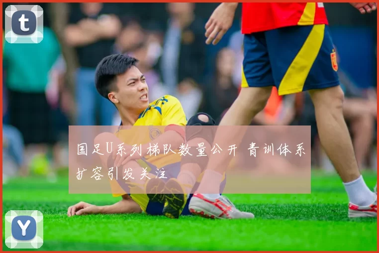 国足U系列梯队数量公开 青训体系扩容引发关注